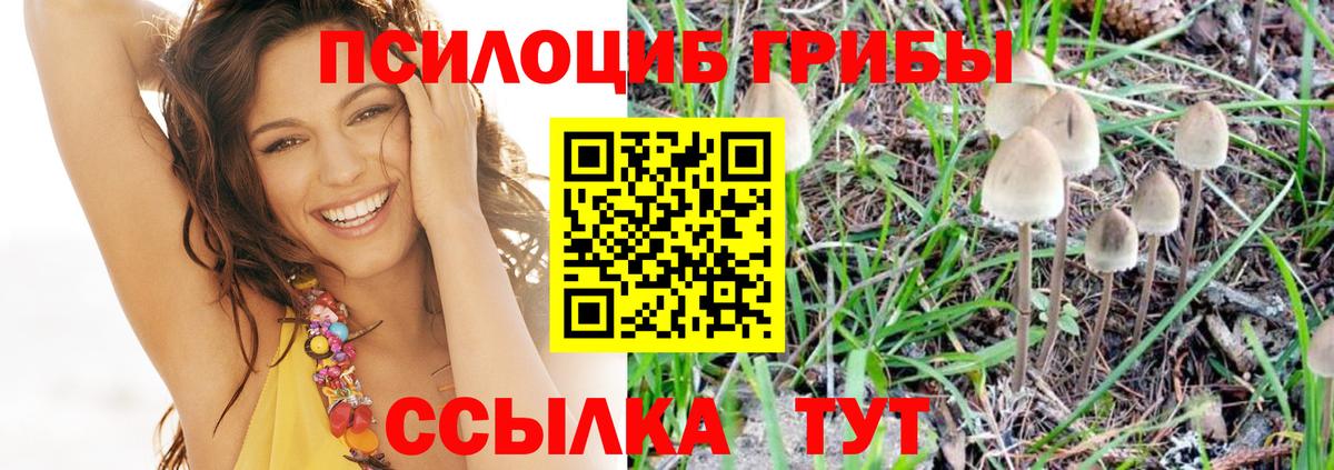 Кызыл  Галлюциногенные грибы мухоморы  Псилоцибиновые грибы Psilocybine cubensis  Вход с VPN 