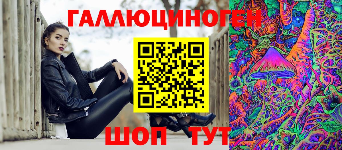 Псилоцибиновые грибы Psilocybine cubensis Кызыл